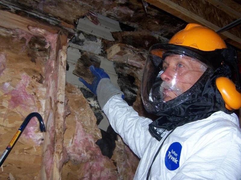 Eco-One renovation and restoration project in Ottawa — photo 13