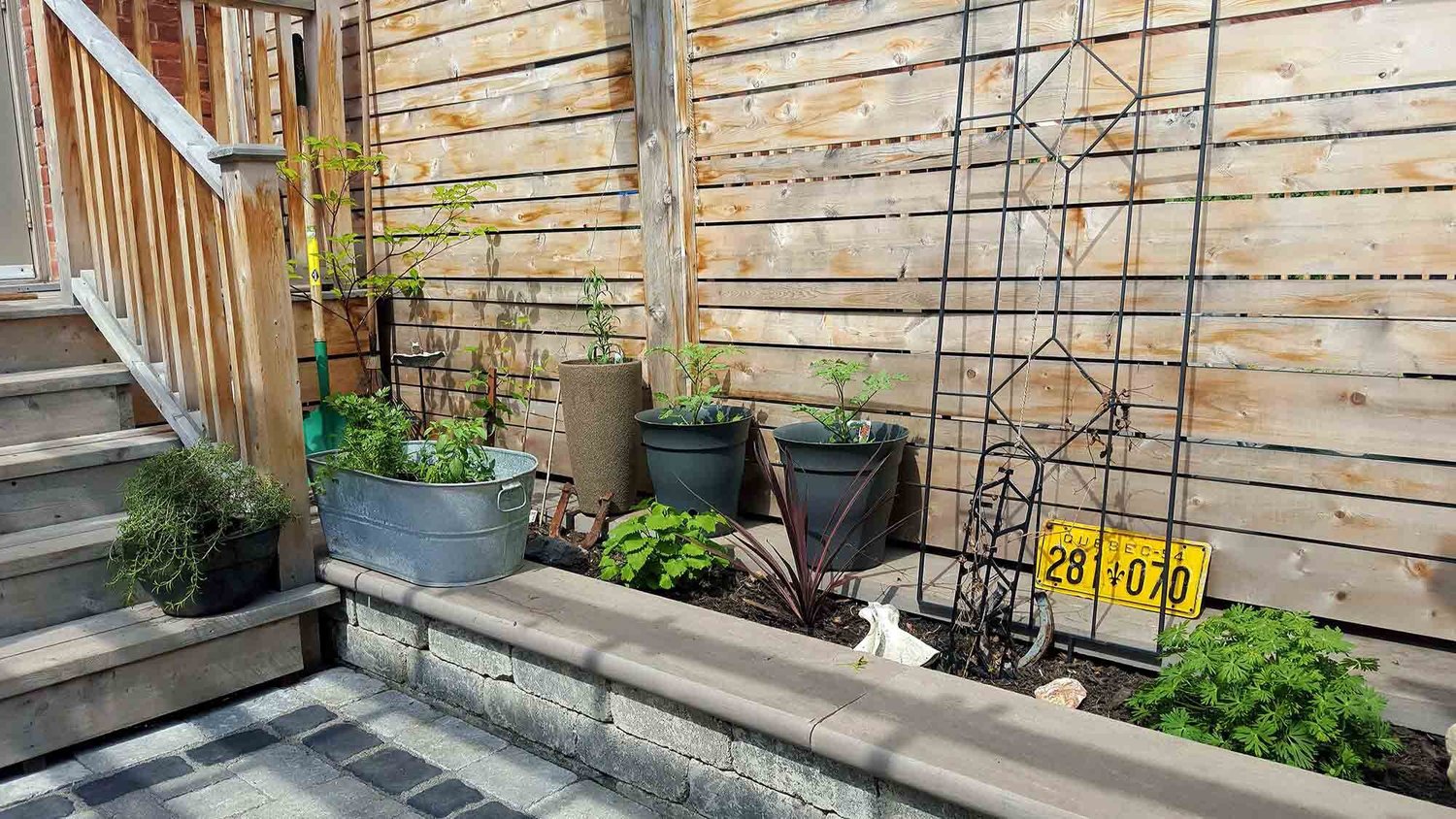 Eco-One renovation and restoration project in Ottawa — photo 20