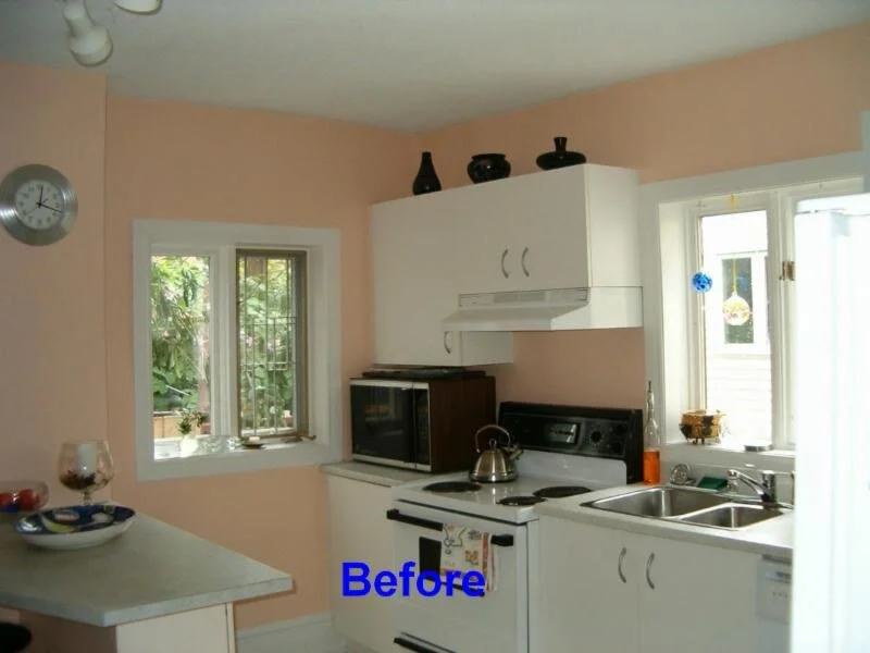 Eco-One renovation and restoration project in Ottawa — photo 24